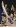 Sabrerings-sabel, blått handtag med försilvrad båge